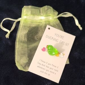 Pocket Hug Green Duck